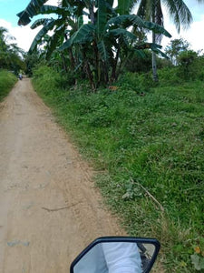 Ubay Elevated Farm for Residential 12.7897 Hectares