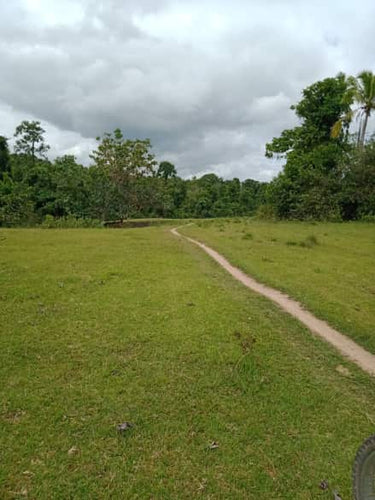 Ubay Elevated Farm for Residential 12.7897 Hectares