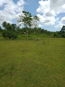 Ubay Elevated Farm for Residential 12.7897 Hectares