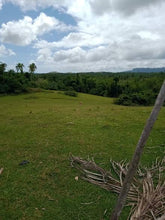 Load image into Gallery viewer, Ubay Elevated Farm for Residential 12.7897 Hectares