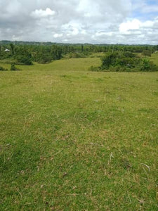 Ubay Elevated Farm for Residential 12.7897 Hectares